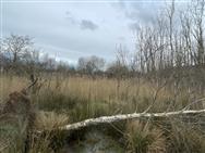 Image of property