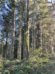 Image of property