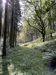 Image of property