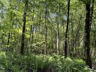 Image of property