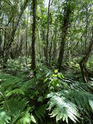 Image of property
