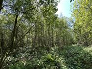 Image of property