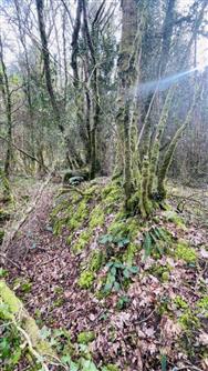 Image of property