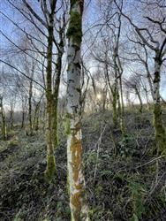 Image of property