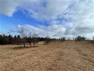 Image of property