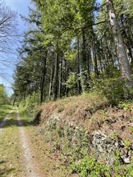 Image of property