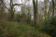 Image of property