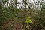 Image of property