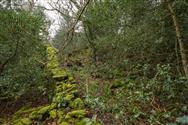 Image of property