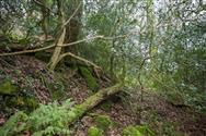 Image of property
