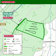Image of property