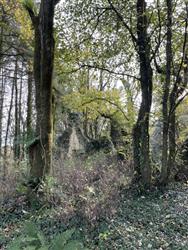 Image of property