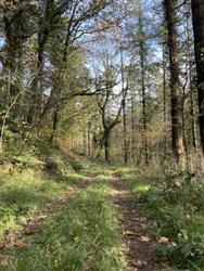Image of property
