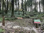 Image of property