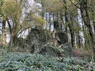 Image of property
