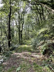 Image of property