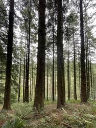 Image of property