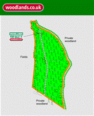 Image of property
