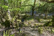 Image of property