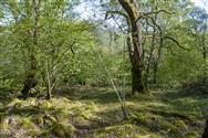 Image of property