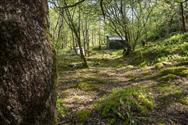 Image of property