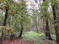 Click to view more details