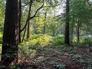 Image of property