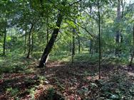 Image of property