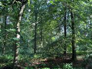 Image of property