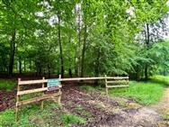 Image of property