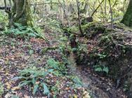 Image of property