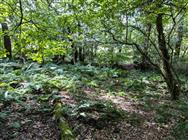 Image of property