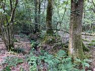 Image of property