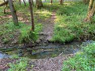 Image of property