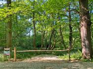 Image of property