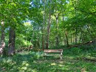 Image of property