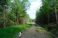 Image of property