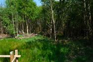 Image of property
