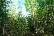 Image of property