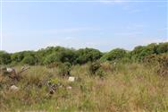 Image of property