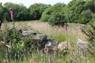 Image of property