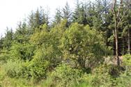 Image of property