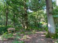 Click to view more details