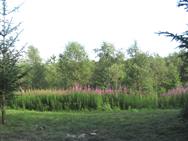 Image of property