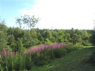 Image of property
