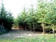 Image of property