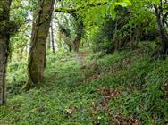 Image of property