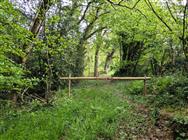 Image of property