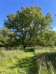 Image of property