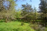 Image of property